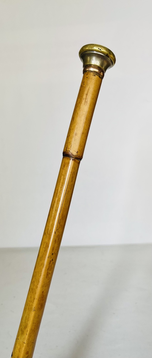 Canne fusil sarbacane -photo-3